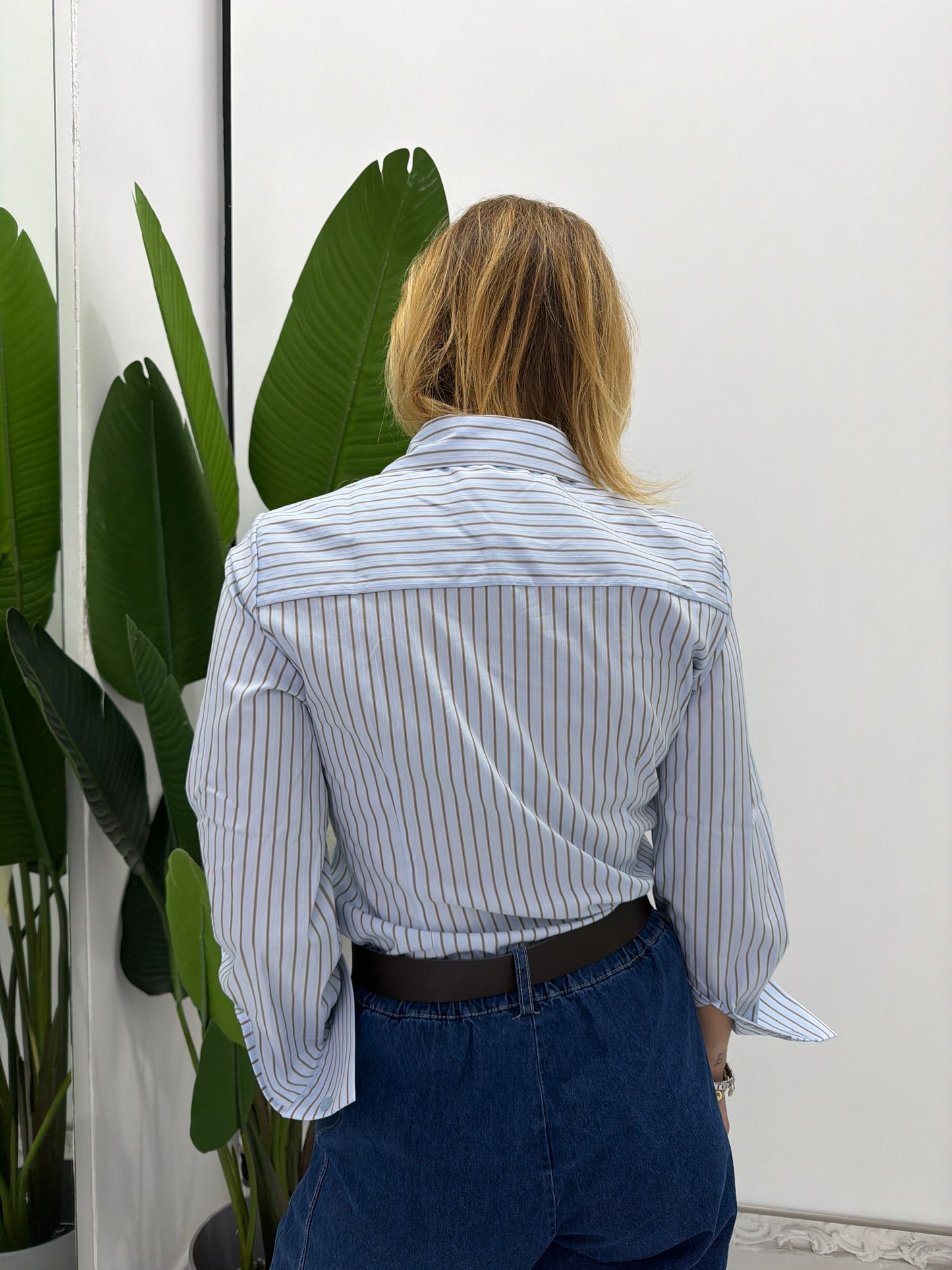 Camicia Righe Gioiello